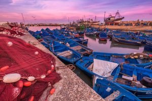 What to do in Essaouira: Unforgettable Adventures